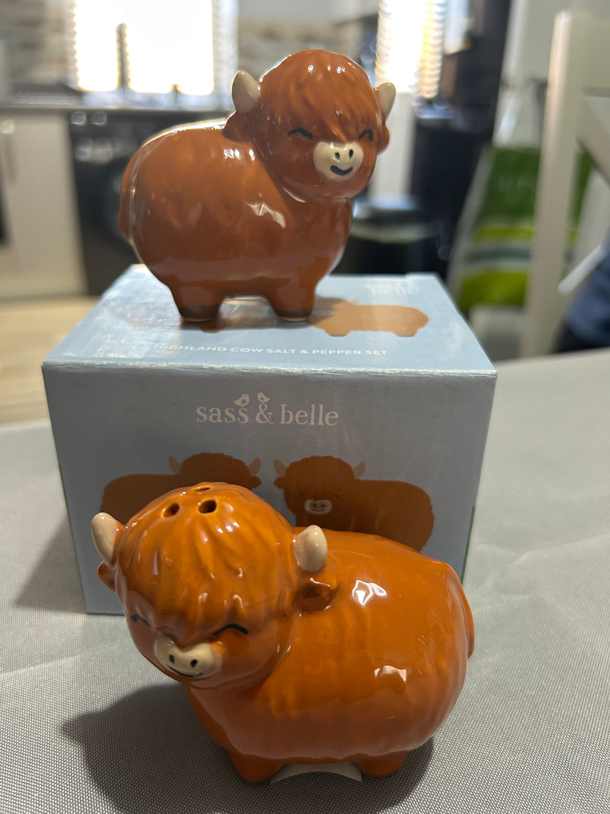 Highland Cow