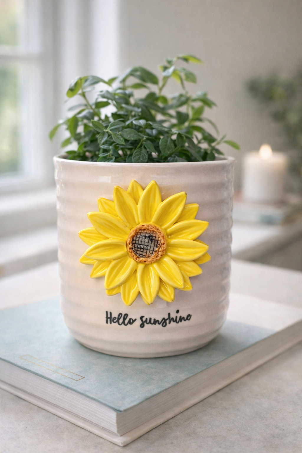 Vases & Planters