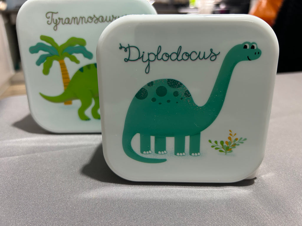 Sass & Belle Dinosaur Lunch Box Set of 3