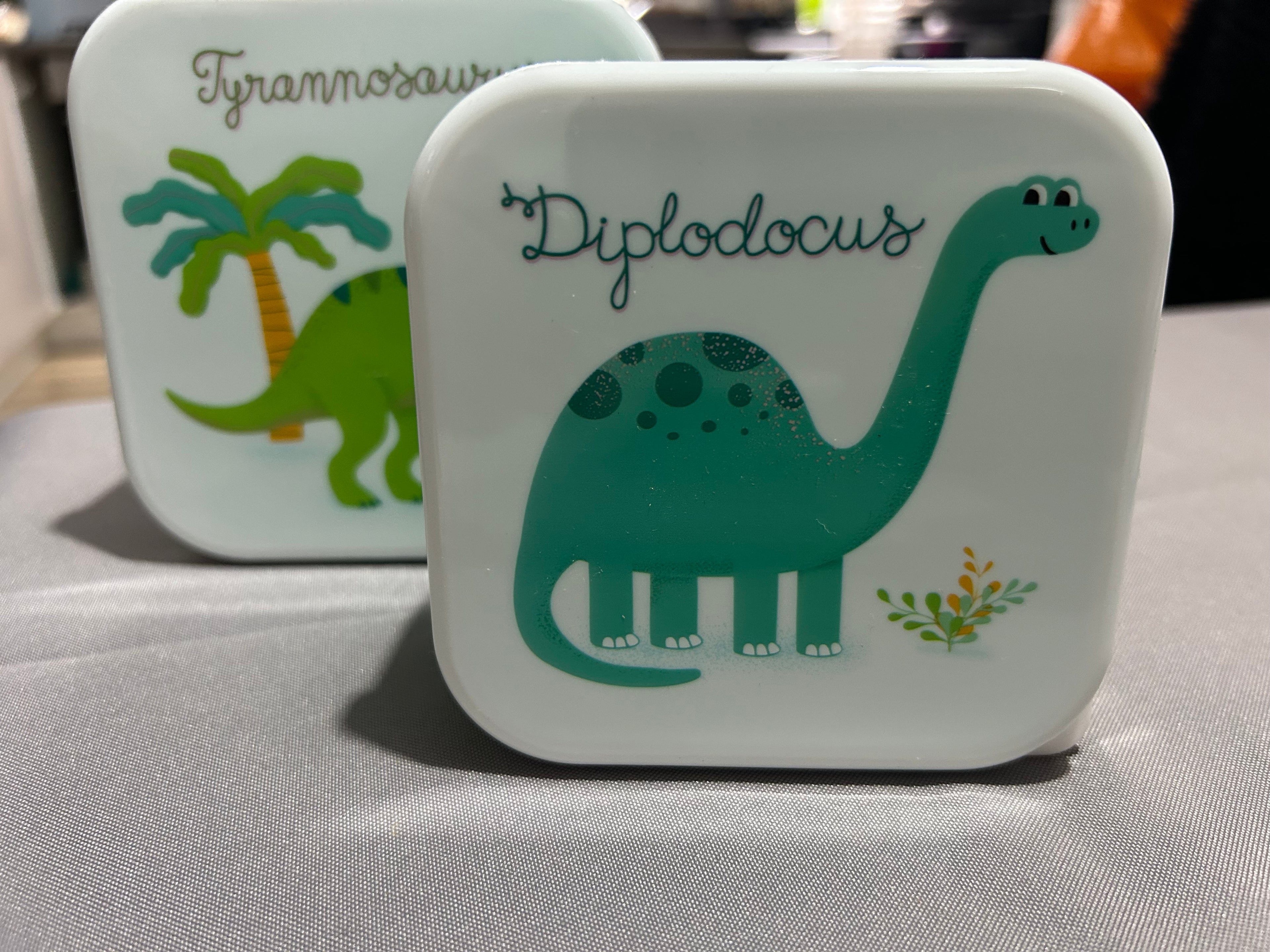Sass & Belle Dinosaur Lunch Box Set of 3