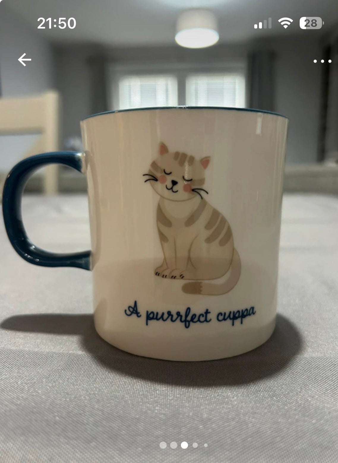 Sass & Belle Purrfect Cuppa Cat Mug Cup