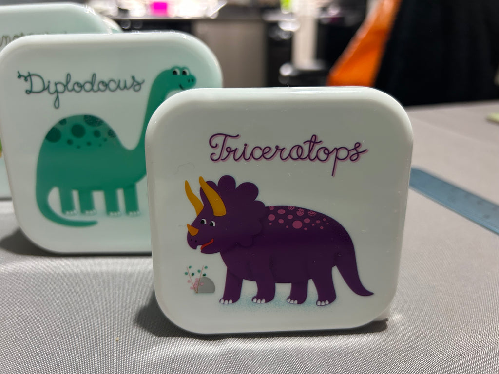 Sass & Belle Dinosaur Lunch Box Set of 3