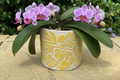 Yellow Floral Cement Plant Pot Large