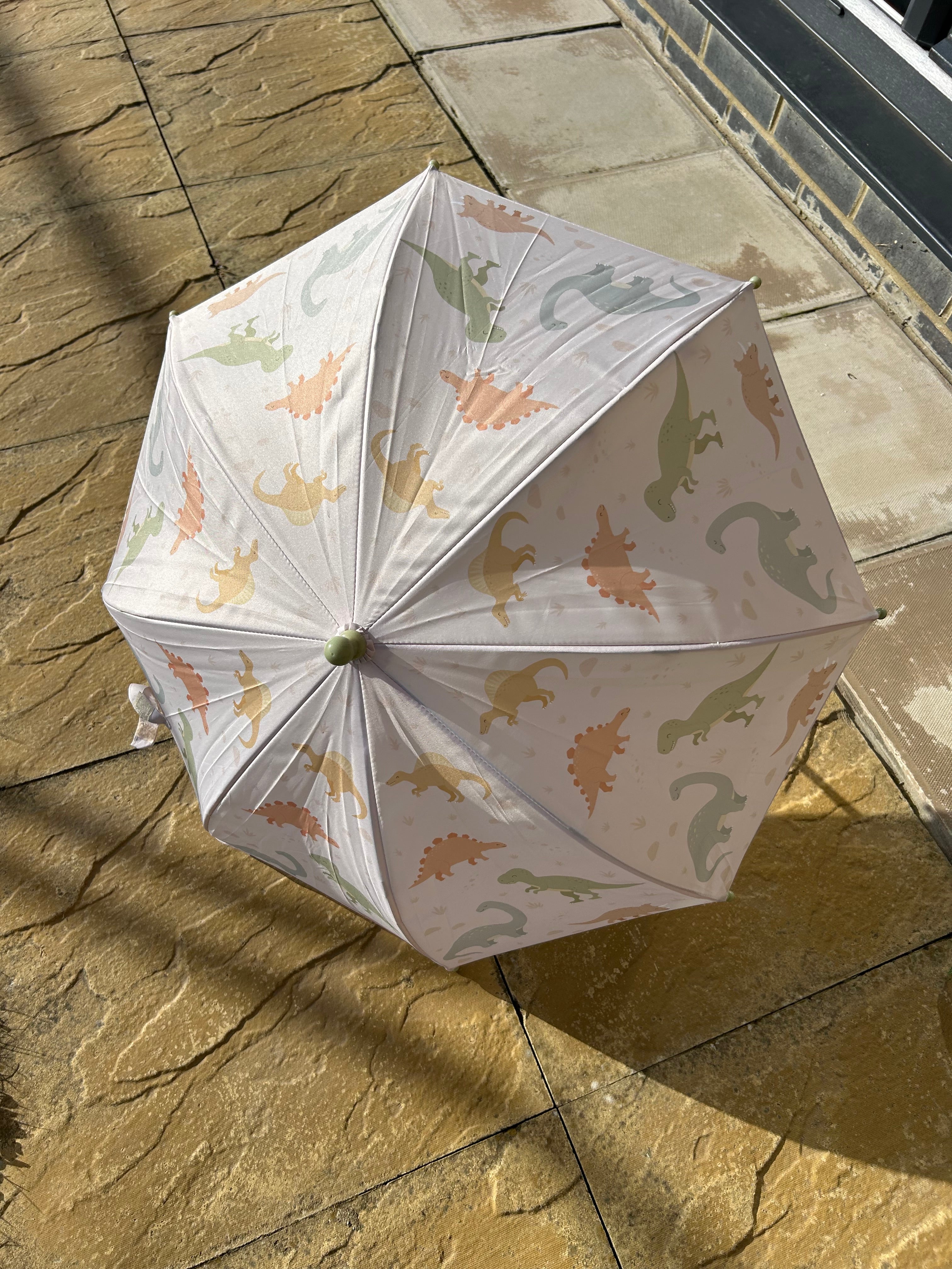 Sass & Belle Kids Dino Umbrella