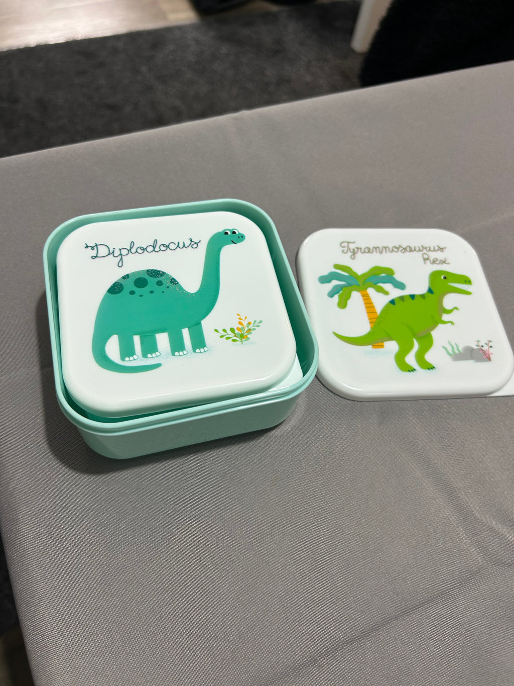 Sass & Belle Dinosaur Lunch Box Set of 3