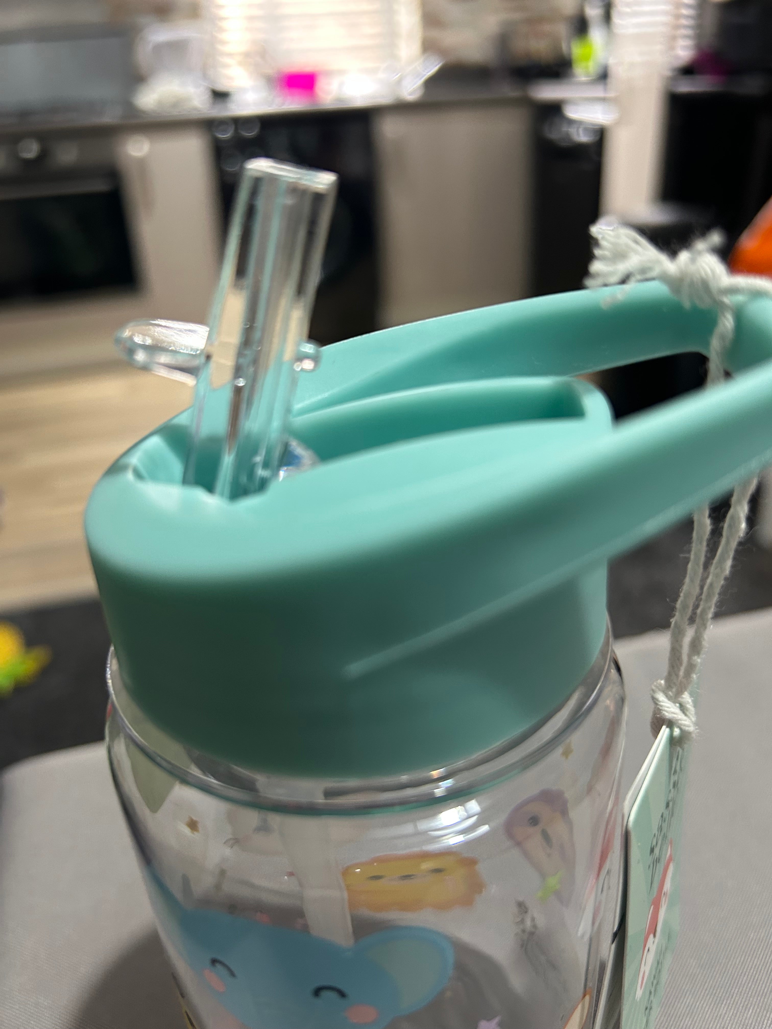 Sass & Belle Roarsome Dinosaurs Kids' Water Bottle
