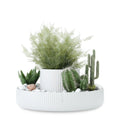 Umbra Fountain Indoor Plant Pot