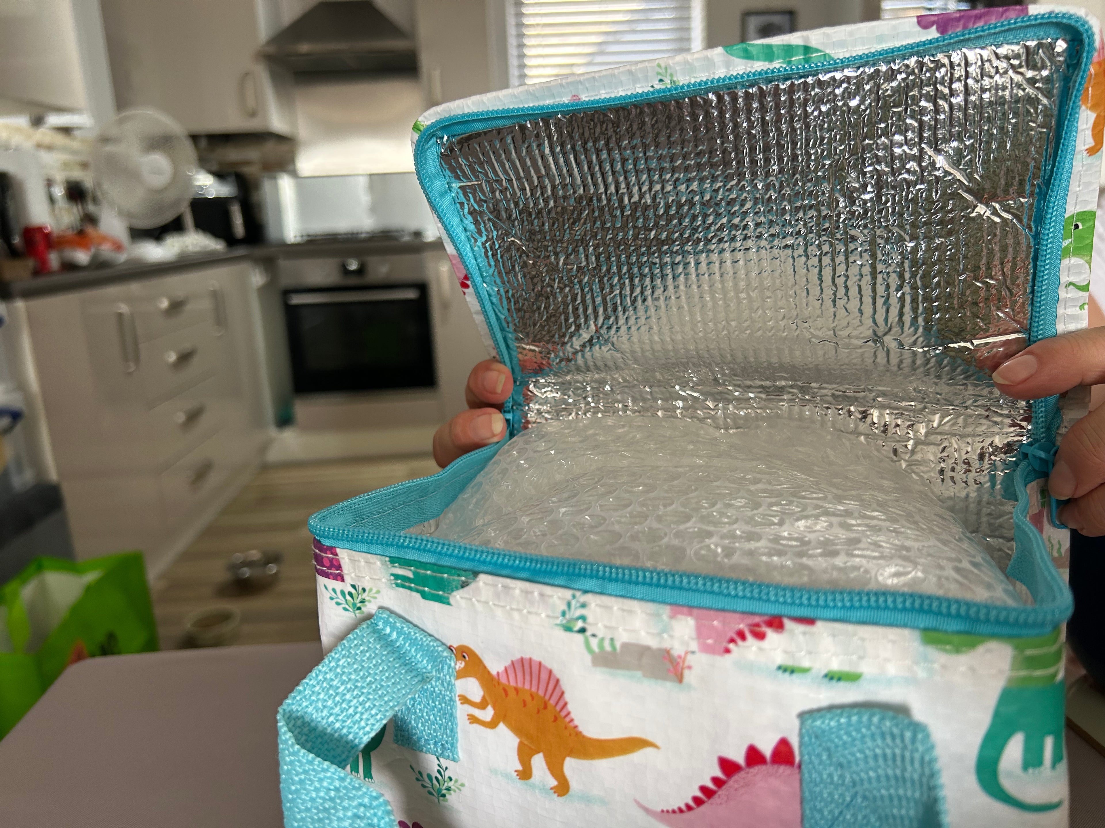 Sass & Belle Dinosaur Child’s Lunch Bag