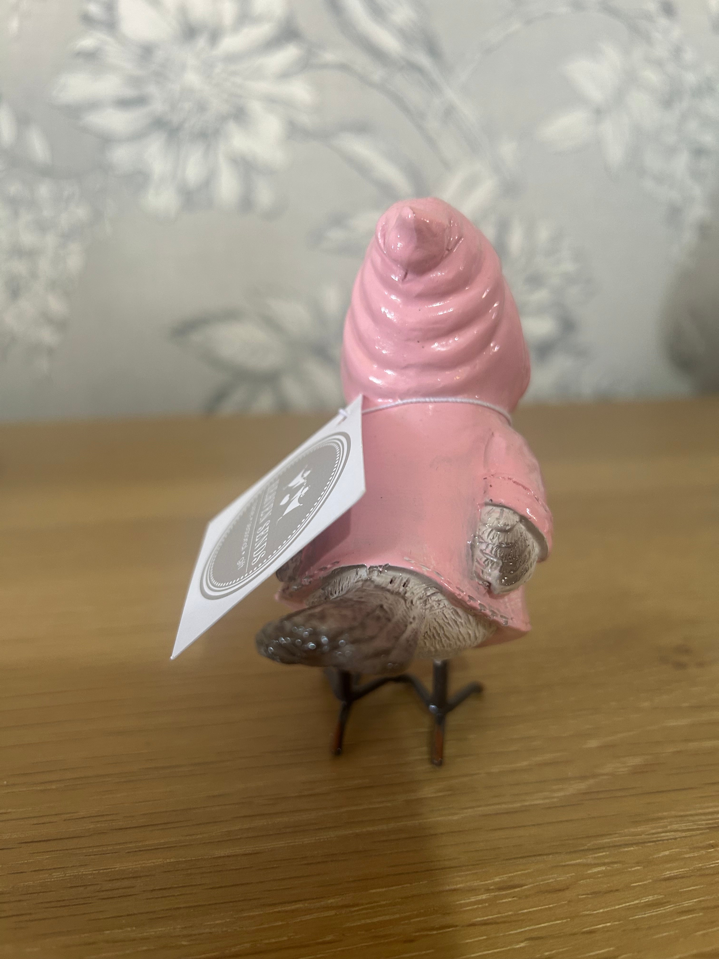 Resin Birds in Coats - Pink