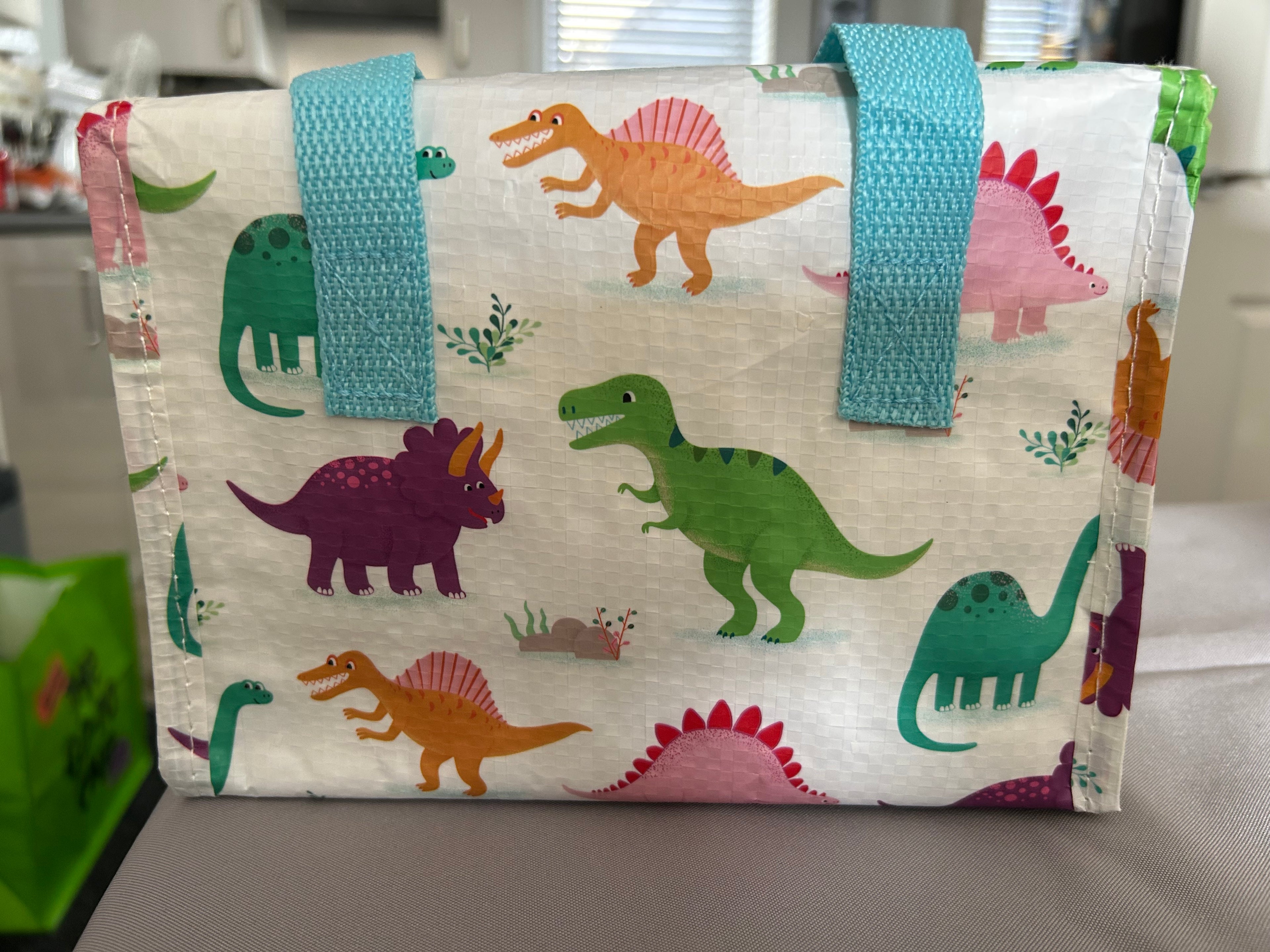 Sass & Belle Dinosaur Child’s Lunch Bag