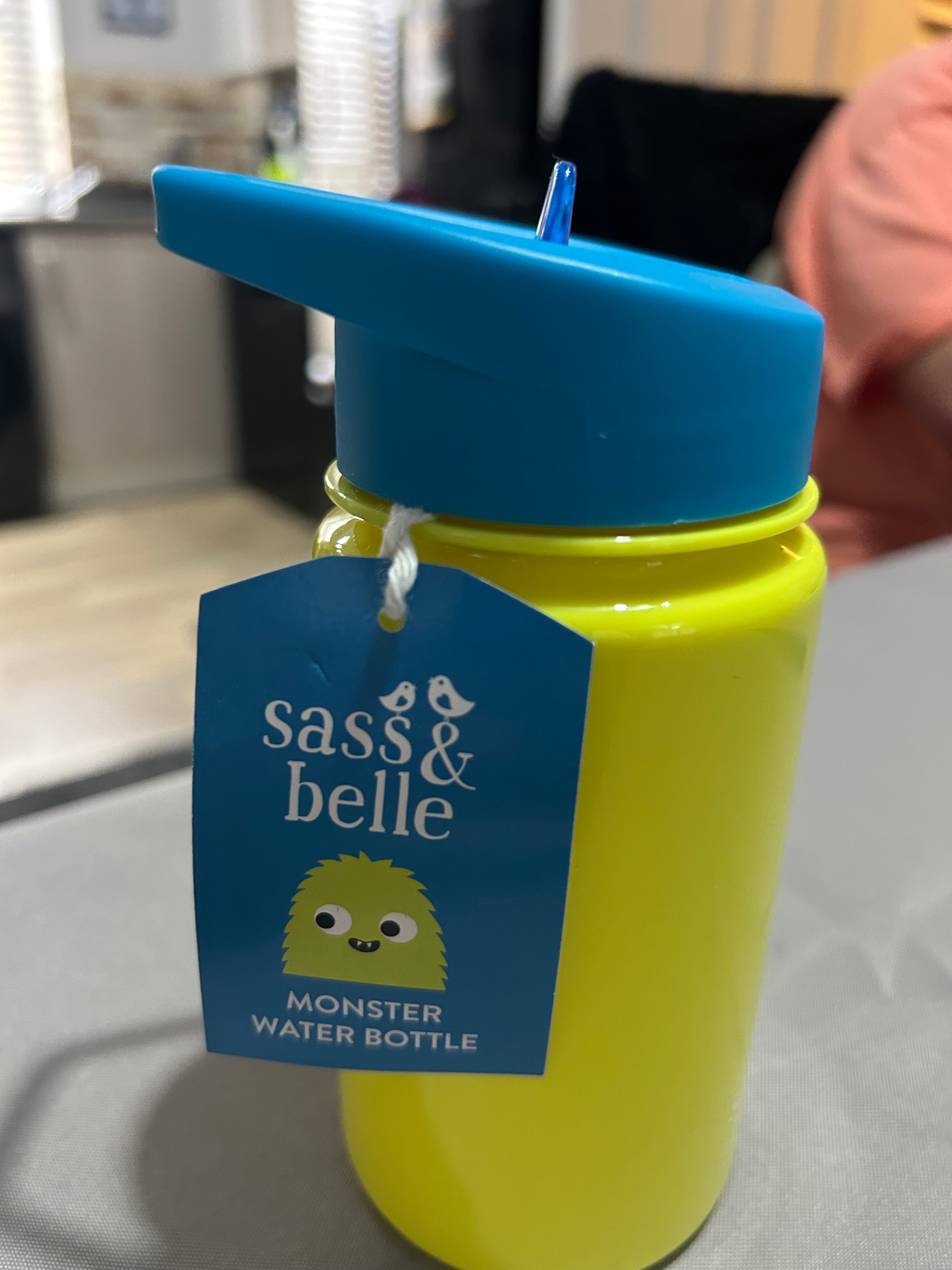 Sass & Belle Monster Kids Water Bottle with Flip Lid
