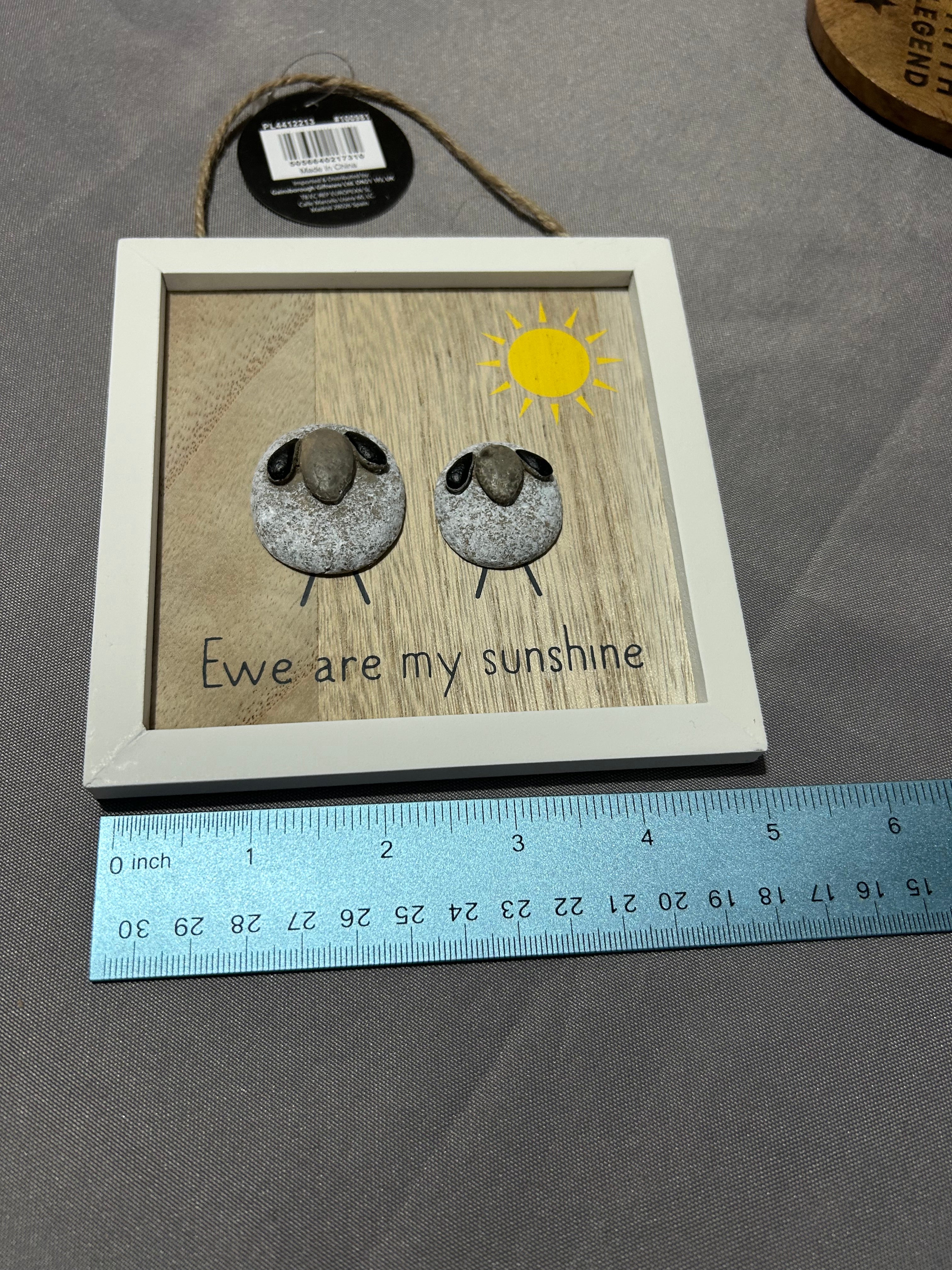 Portland Living Ewe Are My Sunshine Pebble Hanger 13cm