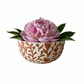 Pink flower in a decorative ceramic bowl on a white background