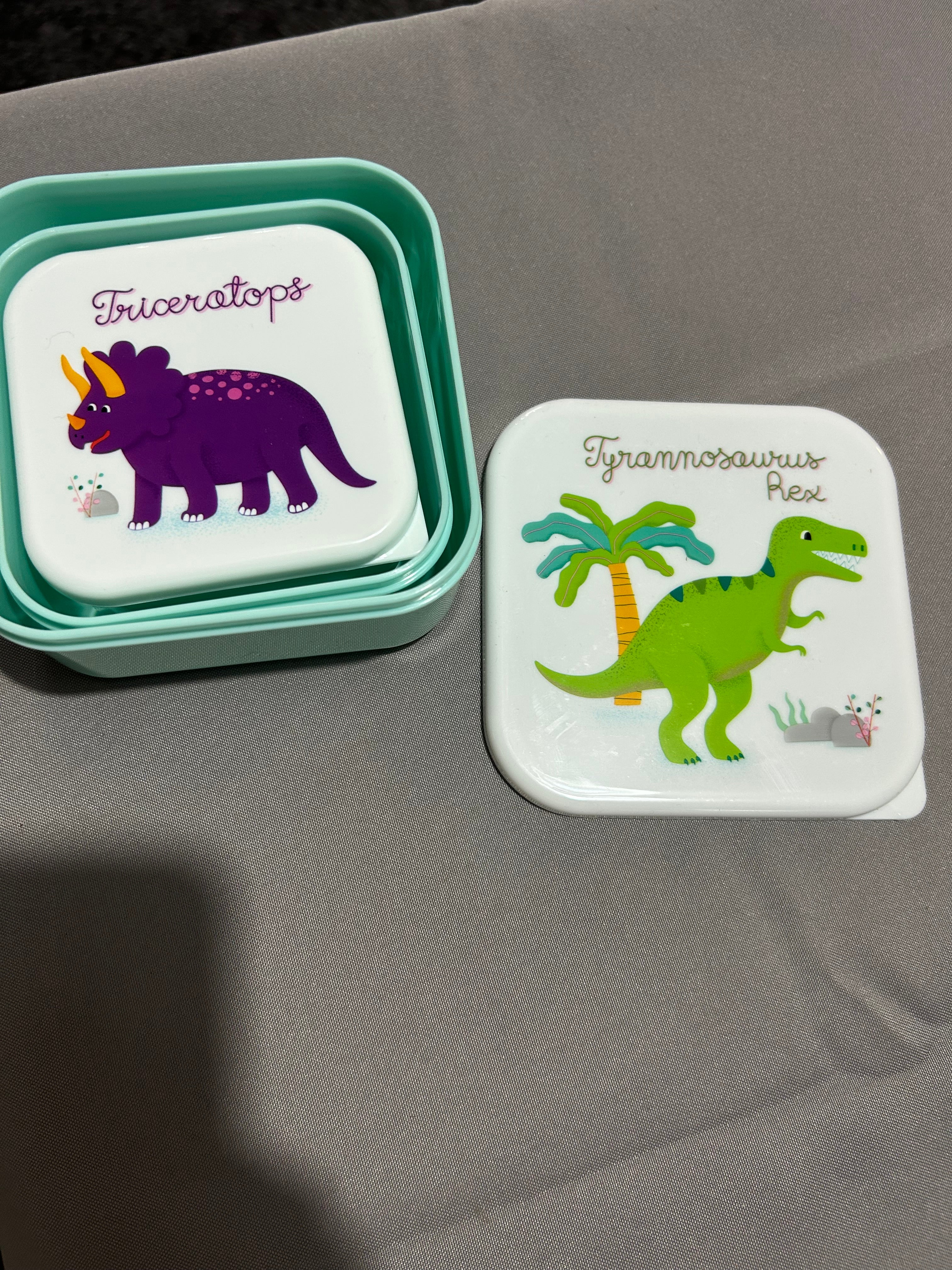 Sass & Belle Dinosaur Lunch Box Set of 3