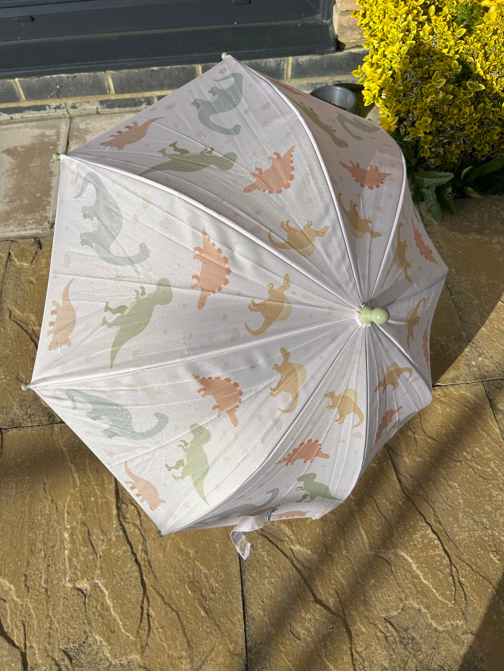 Sass & Belle Kids Dino Umbrella