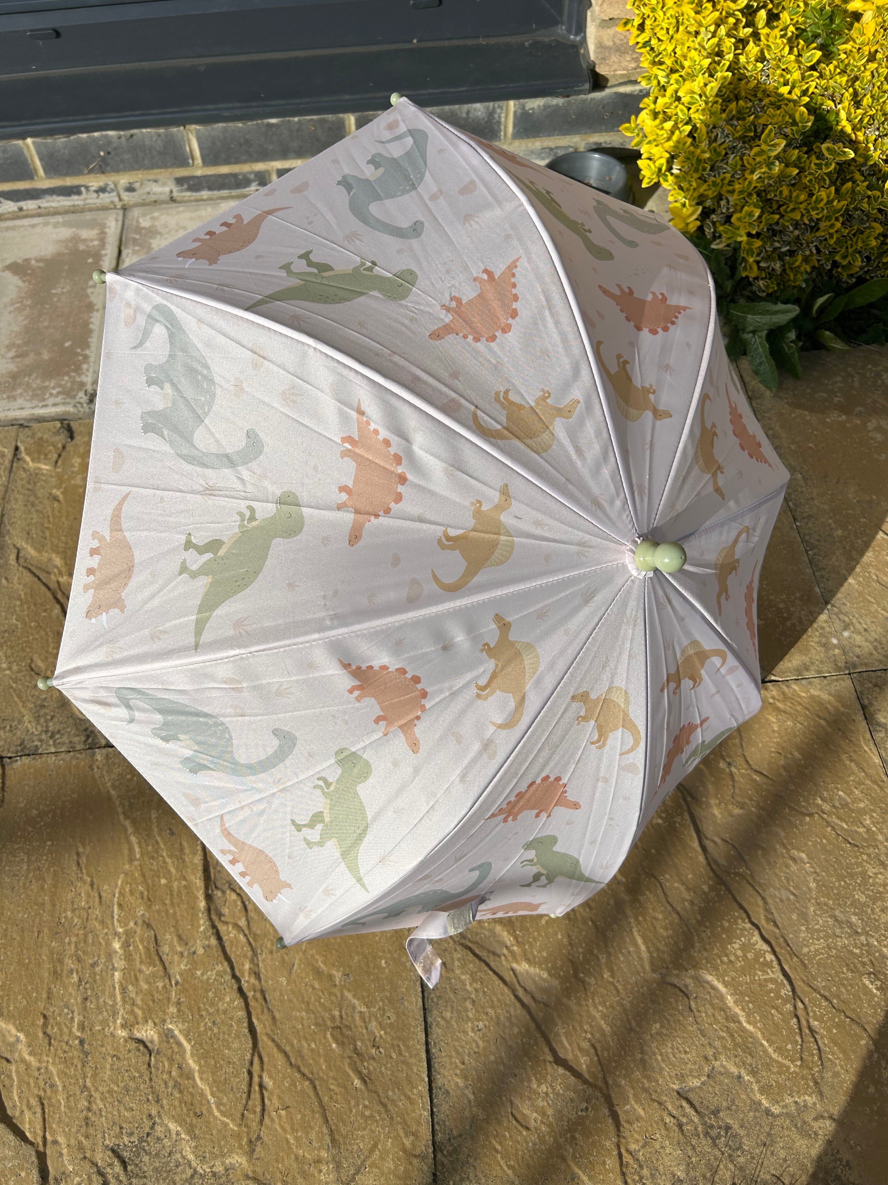 Sass & Belle Kids Dino Umbrella