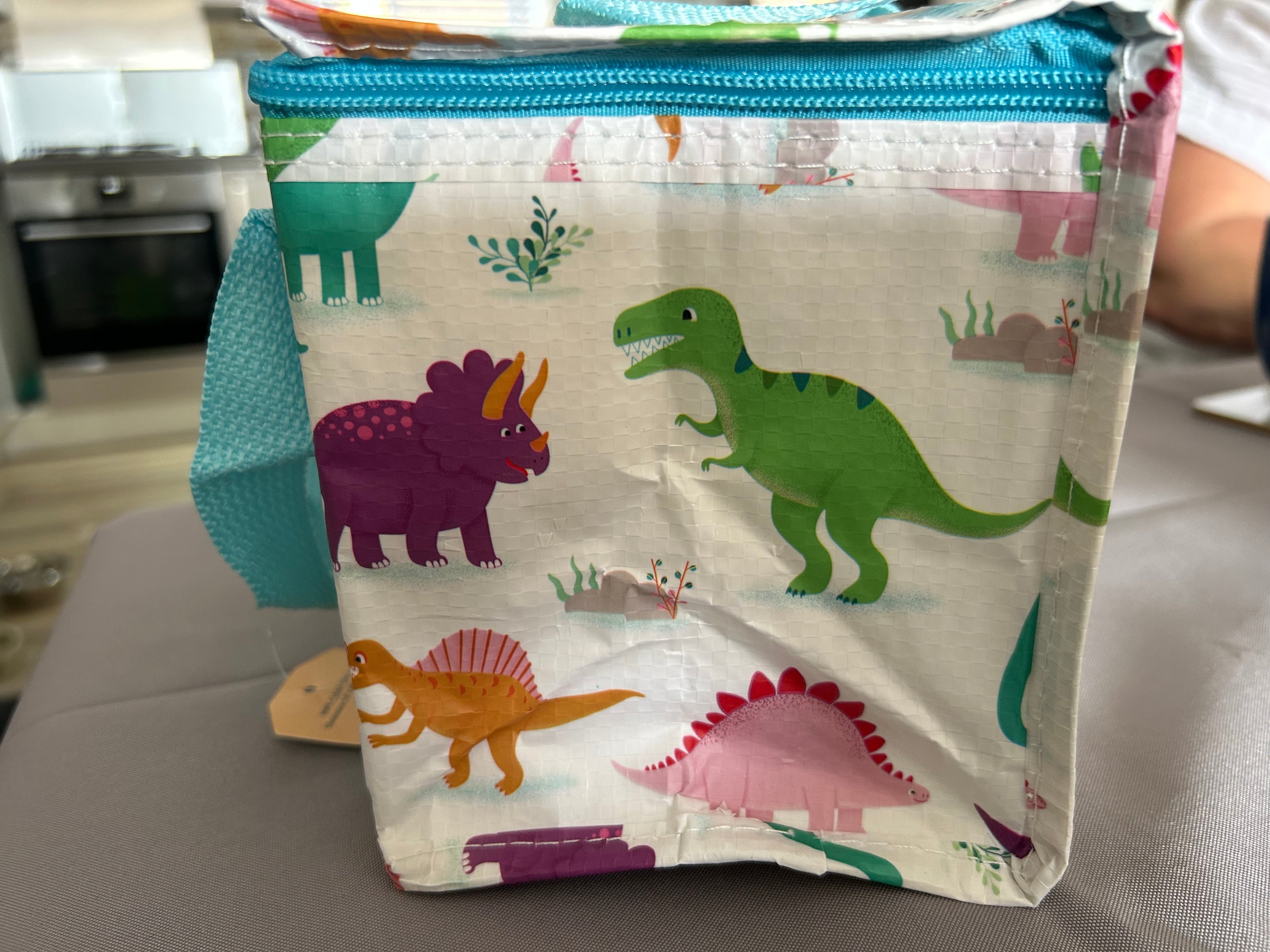 Sass & Belle Dinosaur Child’s Lunch Bag