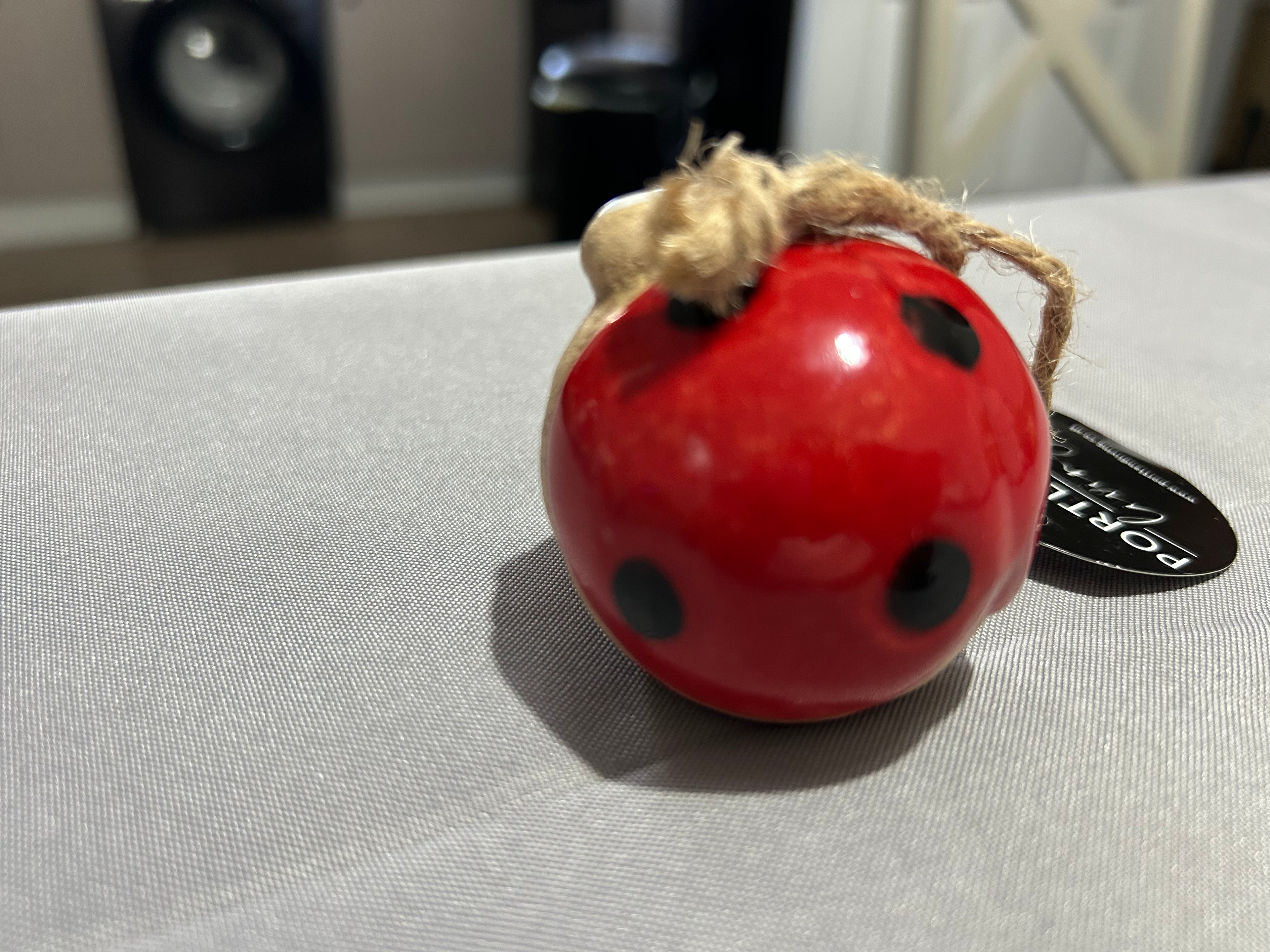 Ceramic Hanging Ladybug Portland Living 5.5cm